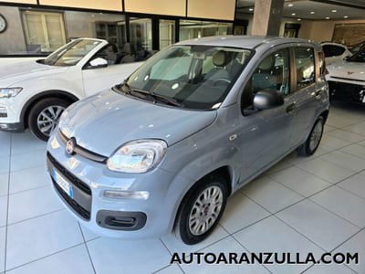 Fiat Panda 1.2 Easy usata