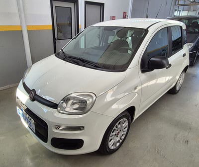 Fiat Panda 1.2 Easy usata