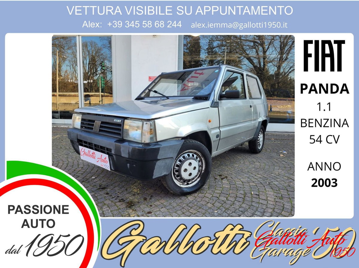Fiat Panda 1100 i.e. cat College
