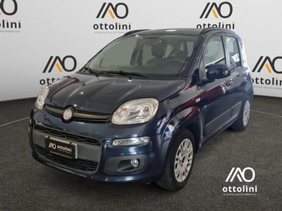 Fiat Panda 1.2 Easy usata