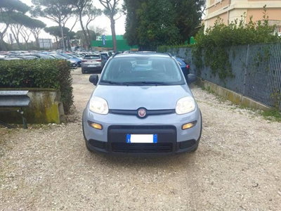 Fiat Panda 1.0 firefly hybrid s&s 70cv 5p.ti (18)
