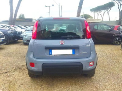 Fiat Panda 1.0 firefly hybrid s&s 70cv 5p.ti (19)