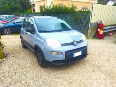 Fiat Panda 1.0 firefly hybrid s&s 70cv 5p.ti (3)