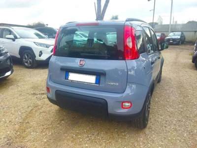 Fiat Panda 1.0 firefly hybrid s&s 70cv 5p.ti (4)