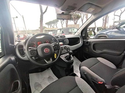 Fiat Panda 1.0 firefly hybrid s&s 70cv 5p.ti (8)