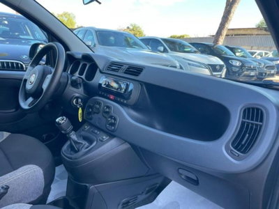 Fiat Panda 1.0 firefly hybrid s&s 70cv 5p.ti (12)