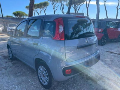 Fiat Panda 1.0 firefly hybrid s&s 70cv 5p.ti (4)