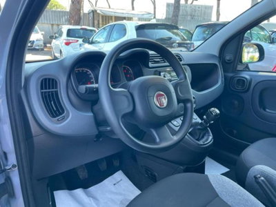 Fiat Panda 1.0 firefly hybrid s&s 70cv 5p.ti (5)