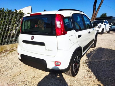 Fiat Panda 1.0 firefly hybrid s&s 70cv 5p.ti (4)