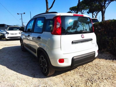 Fiat Panda 1.0 firefly hybrid s&s 70cv 5p.ti (5)