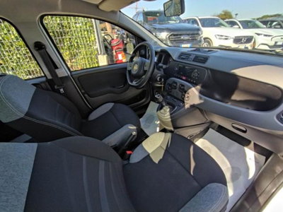 Fiat Panda 1.0 firefly hybrid s&s 70cv 5p.ti (18)