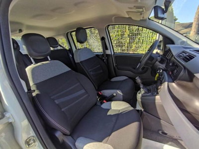 Fiat Panda 1.0 firefly hybrid s&s 70cv 5p.ti (19)