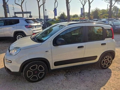 Fiat Panda 1.0 firefly hybrid s&s 70cv 5p.ti (7)