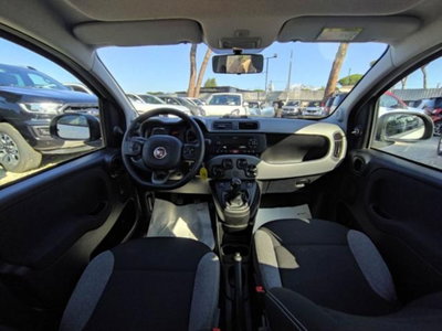 Fiat Panda 1.0 firefly hybrid s&s 70cv 5p.ti (8)