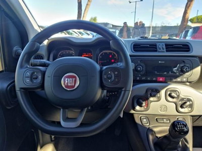 Fiat Panda 1.0 firefly hybrid s&s 70cv 5p.ti (12)