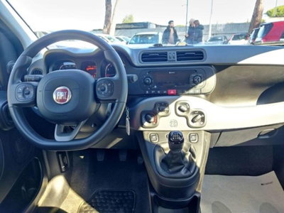 Fiat Panda 1.0 firefly hybrid s&s 70cv 5p.ti (13)