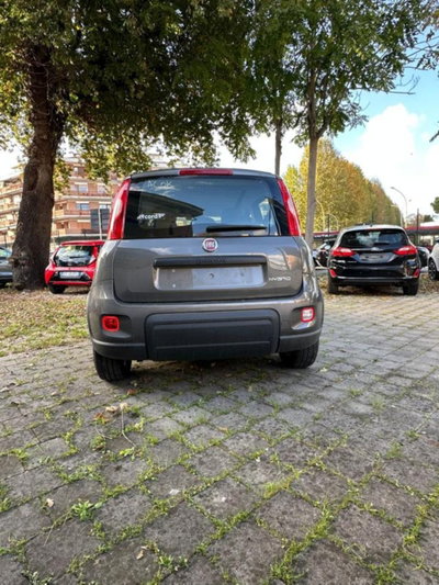 Fiat Panda 1.0 firefly hybrid s&s 70cv 5p.ti (18)