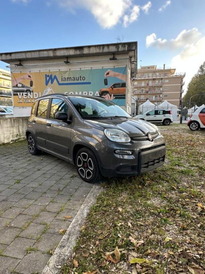 Fiat Panda 1.0 firefly hybrid s&s 70cv 5p.ti (2)