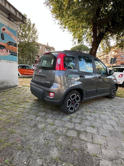 Fiat Panda 1.0 firefly hybrid s&s 70cv 5p.ti (4)