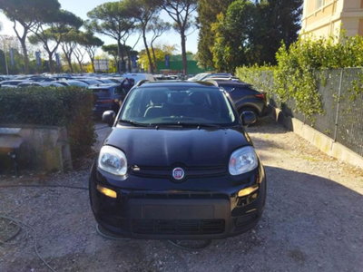 Fiat Panda 1.0 firefly hybrid s&s 70cv 5p.ti (19)