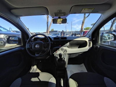 Fiat Panda 1.0 firefly hybrid s&s 70cv 5p.ti (9)