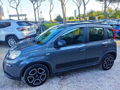 Fiat Panda 1.0 firefly hybrid s&s 70cv 5p.ti (4)
