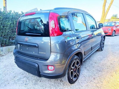 Fiat Panda 1.0 firefly hybrid s&s 70cv 5p.ti (6)