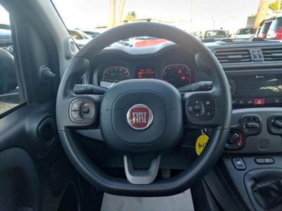 Fiat Panda 1.0 firefly hybrid s&s 70cv 5p.ti (9)
