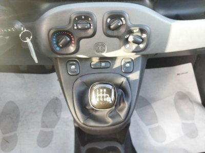 Fiat Panda 1.0 firefly hybrid s&s 70cv 5p.ti (10)