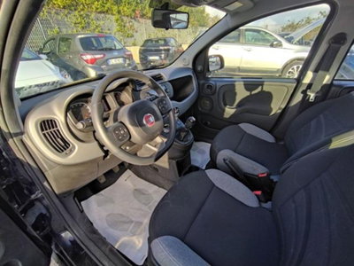 Fiat Panda 1.0 firefly hybrid s&s 70cv 5p.ti (12)