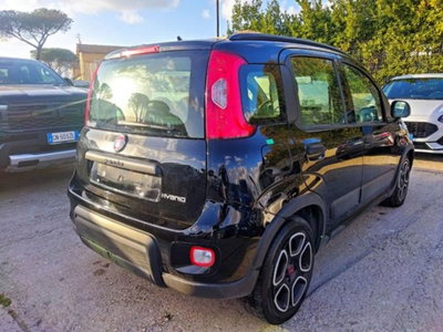 Fiat Panda 1.0 firefly hybrid s&s 70cv 5p.ti (4)