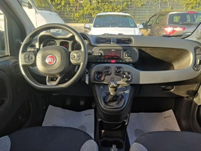 Fiat Panda 1.0 firefly hybrid s&s 70cv 5p.ti (8)
