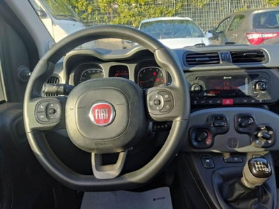 Fiat Panda 1.0 firefly hybrid s&s 70cv 5p.ti (9)