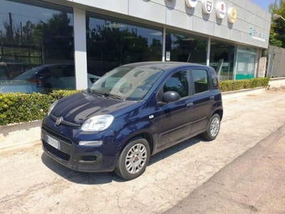 Fiat Panda 1.2 Easy usata