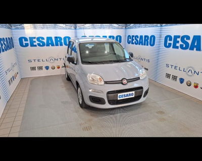 Fiat Panda 1.0 firefly hybrid s&s 70cv 5p.ti usata