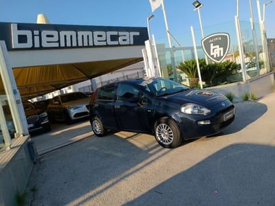 Fiat Punto 1.2 8V 5 porte Street usata