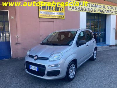 Fiat Panda 1.2 Easy usata