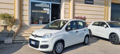 Fiat Panda 1.2 Easy usata