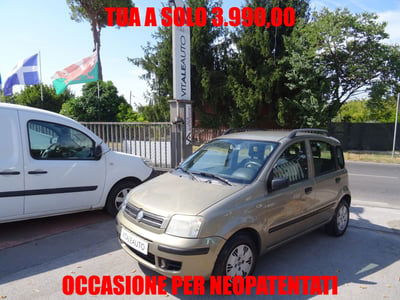 Fiat Panda 1.2 Dynamic usata