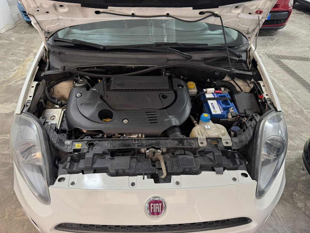 Fiat Punto 1.3 MJT II S&S 85 CV 5 porte ECO Young (19)