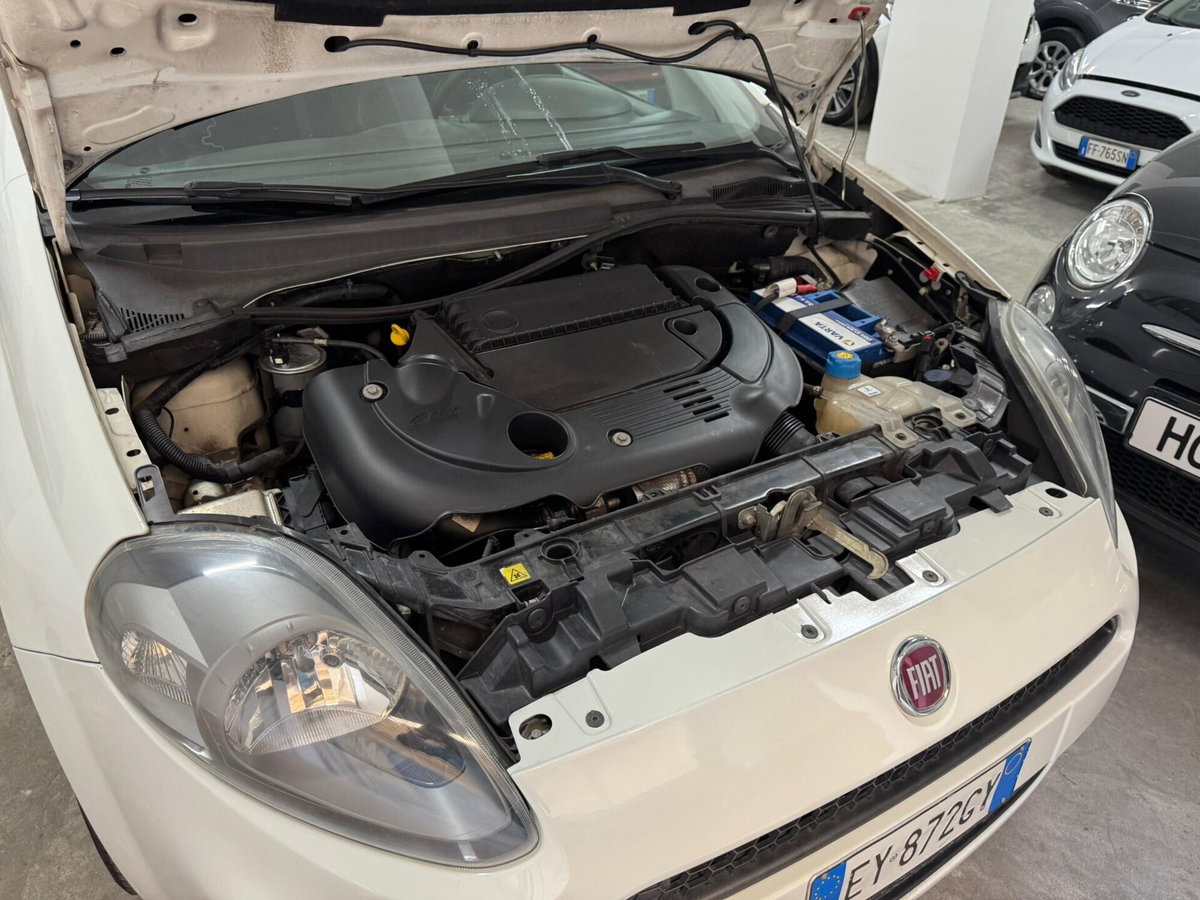 Fiat Punto 1.3 MJT II S&S 85 CV 5 porte ECO Young (20)