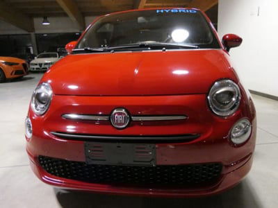 Fiat 500 1.0 Hybrid Red usata
