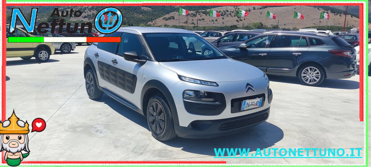 Citroen C4 Cactus BlueHDi 100 S&S Feel (2)