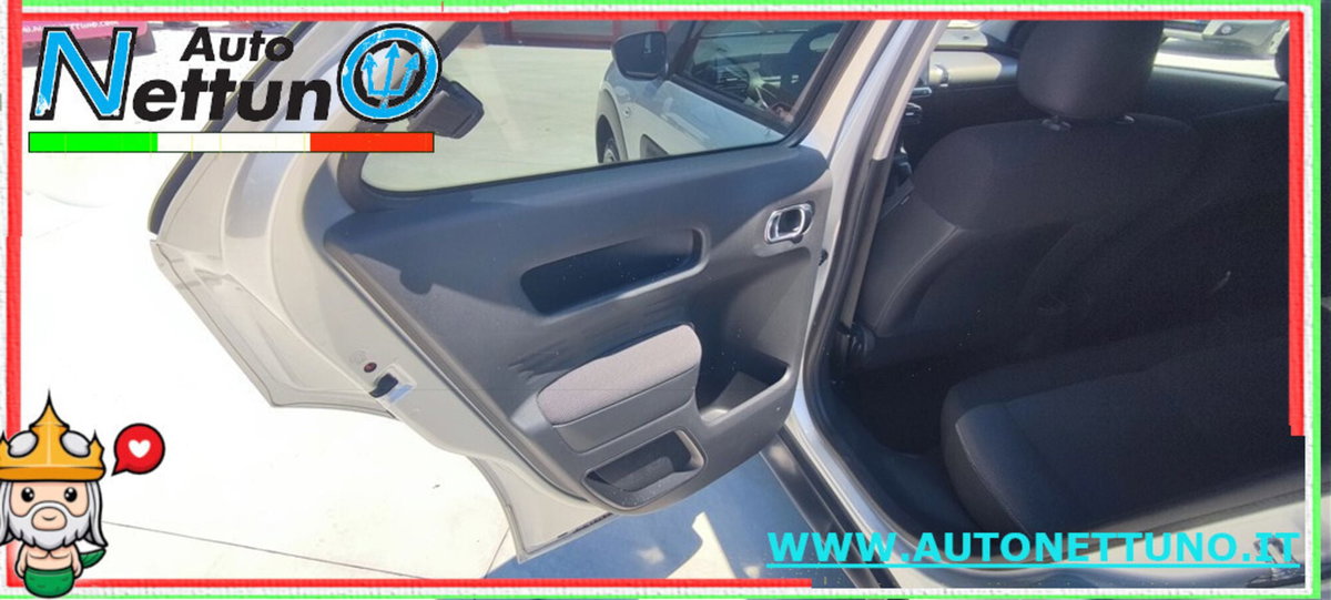 Citroen C4 Cactus BlueHDi 100 S&S Feel (10)