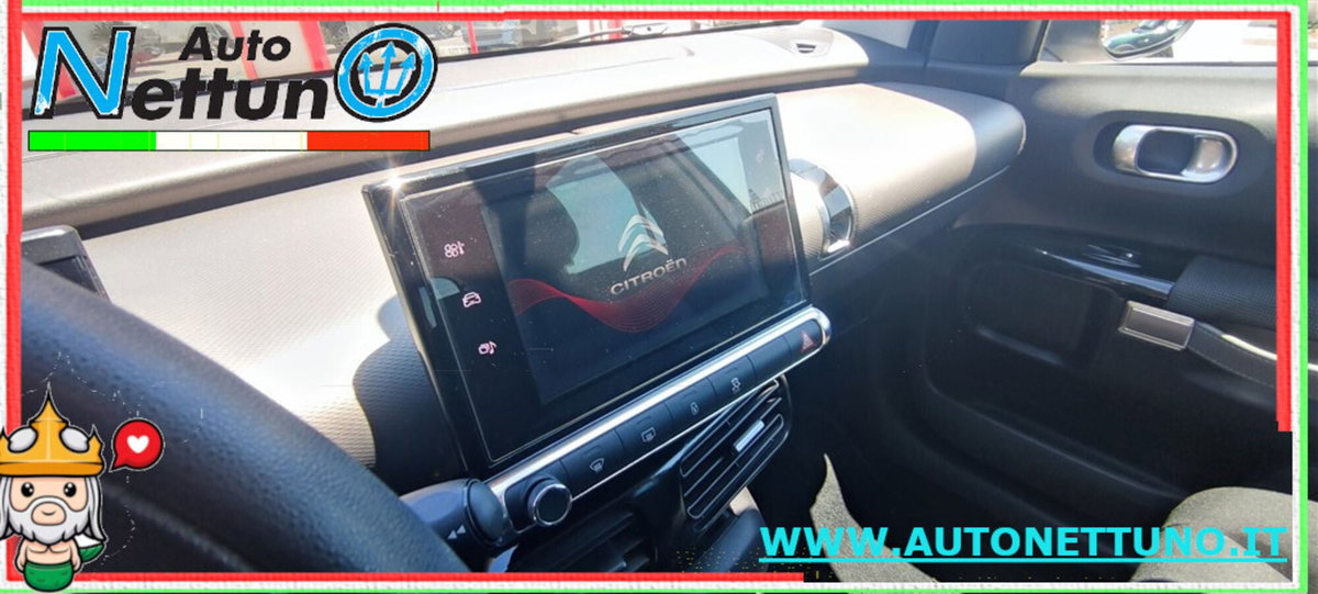 Citroen C4 Cactus BlueHDi 100 S&S Feel (11)