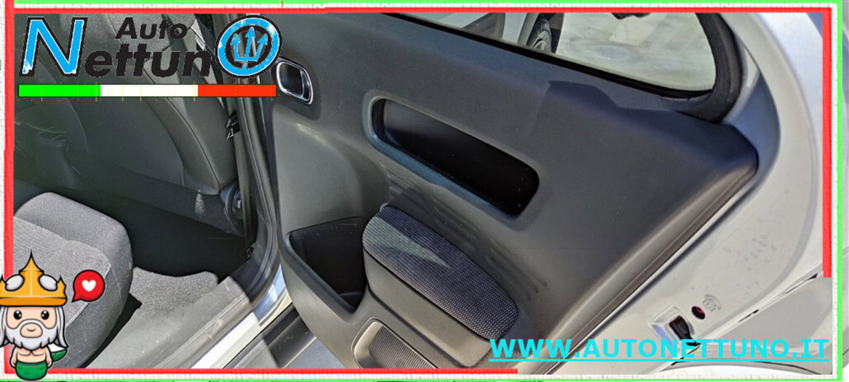 Citroen C4 Cactus BlueHDi 100 S&S Feel (20)