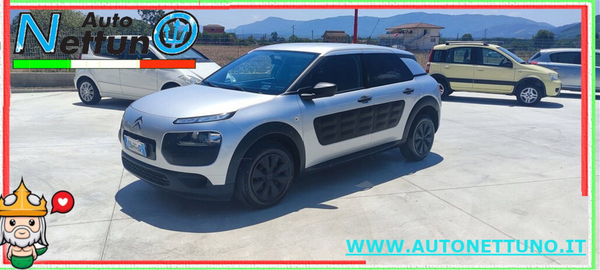 Citroen C4 Cactus BlueHDi 100 S&S Feel (3)
