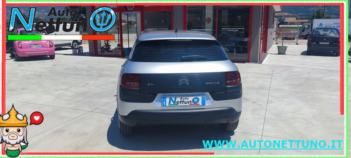 Citroen C4 Cactus BlueHDi 100 S&S Feel (5)