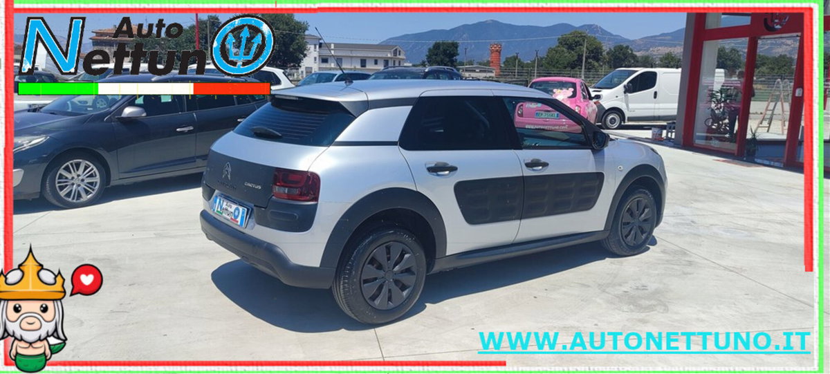 Citroen C4 Cactus BlueHDi 100 S&S Feel (6)