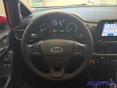 Ford Fiesta 1.1 3 porte Plus (14)